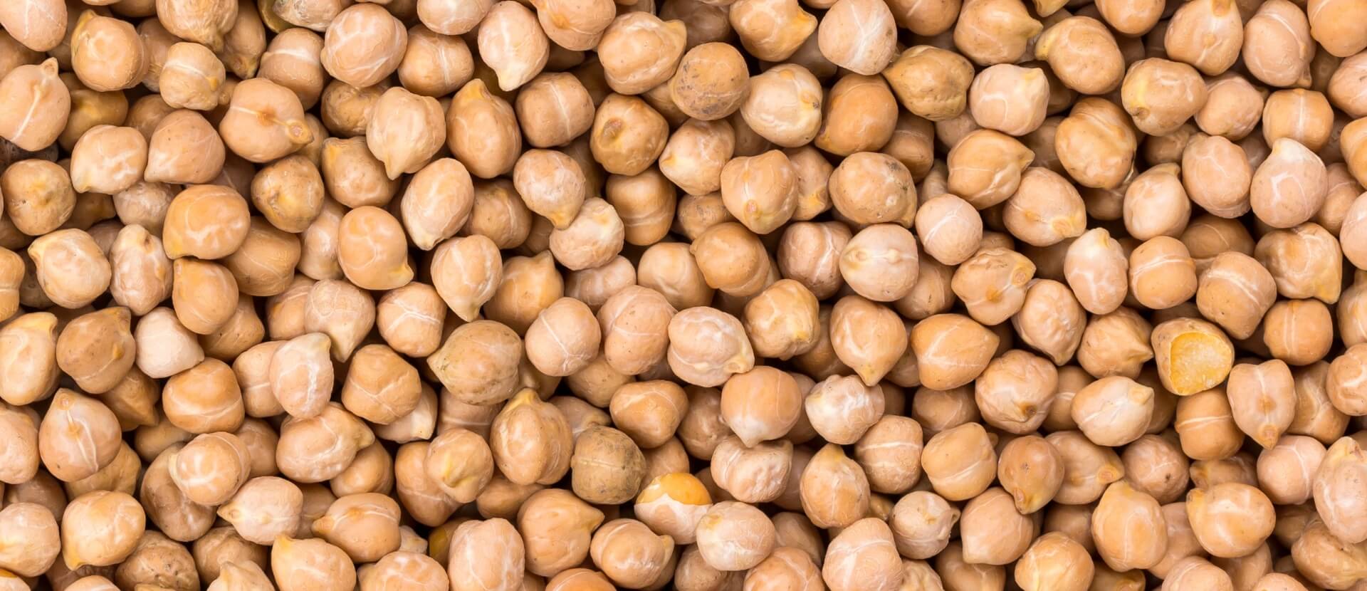 Bennett's Grain Chickpea